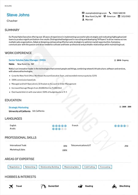 Classic — ATS-friendly professional resume template preview | StylingCV