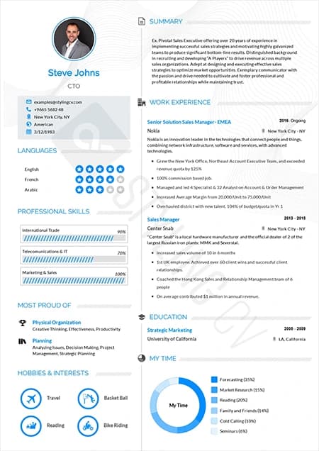 Concept — modern professional resume template preview | StylingCV