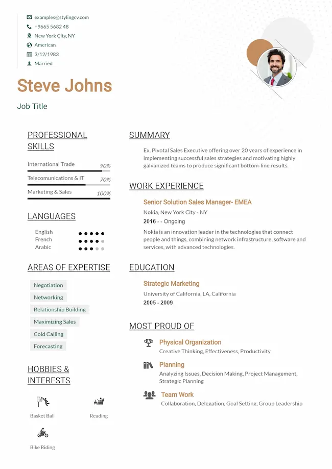 Simplified — ATS-friendly professional resume template preview | StylingCV