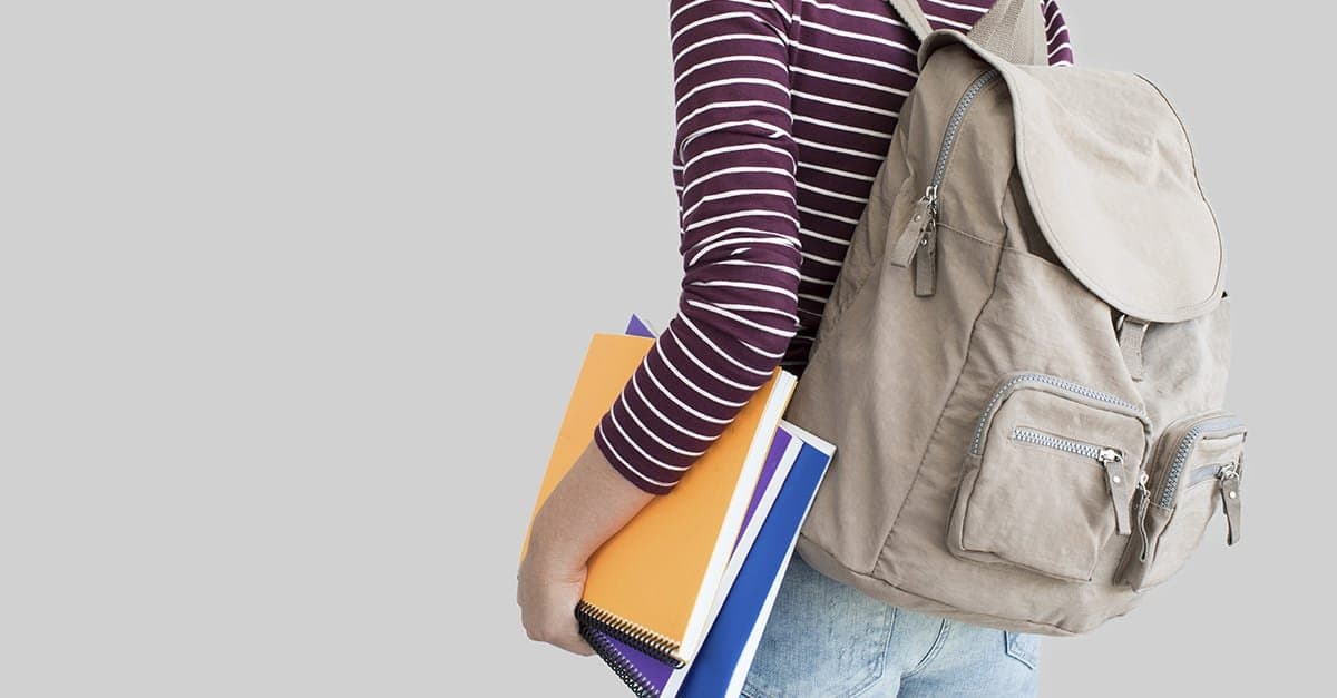 Professional resume template preview - StylingCV