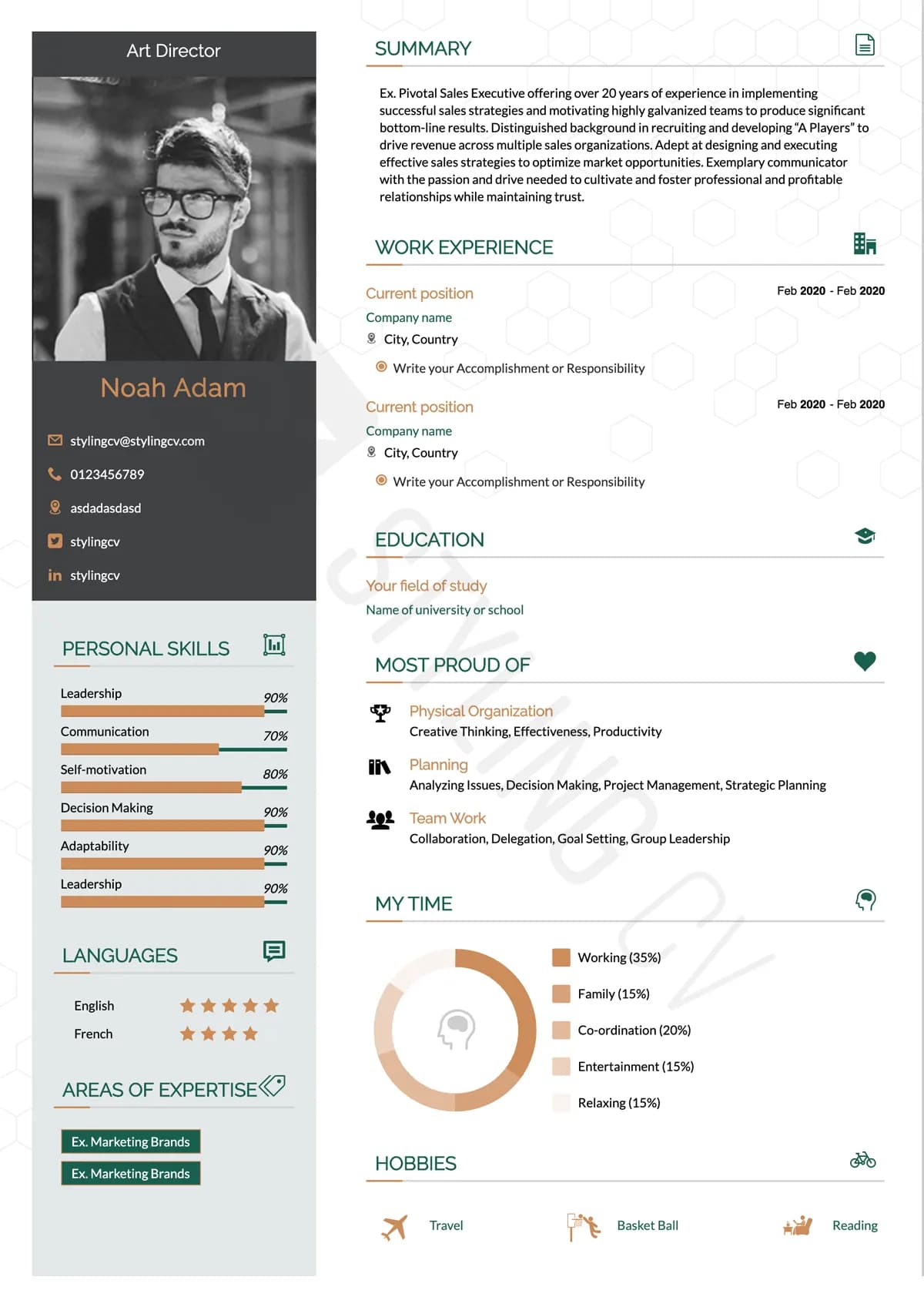 Modern Pro resume template