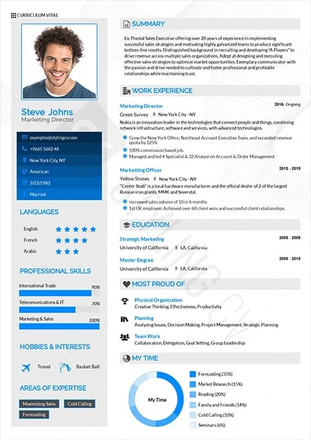 Executive resume template