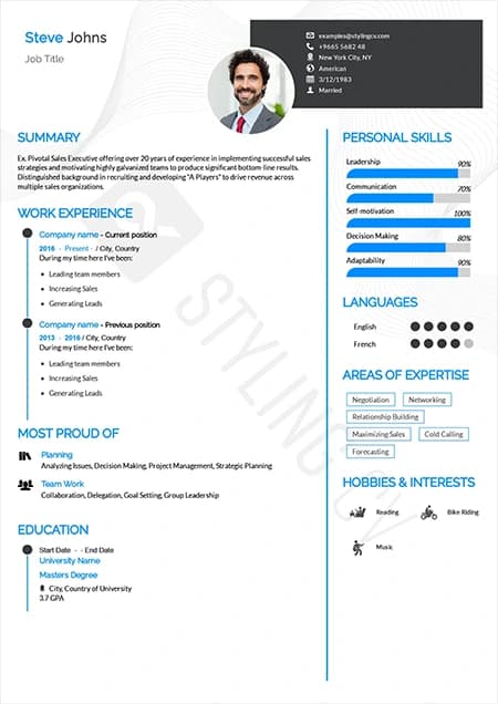 Professional resume template