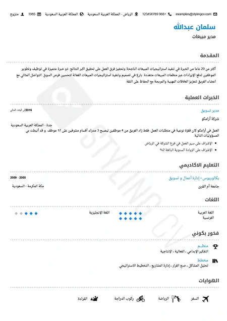 النموذج الإرشادي قالب سيرة ذاتية