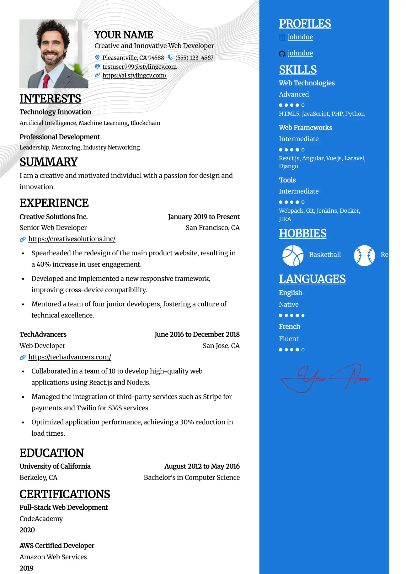 Split Resume Template