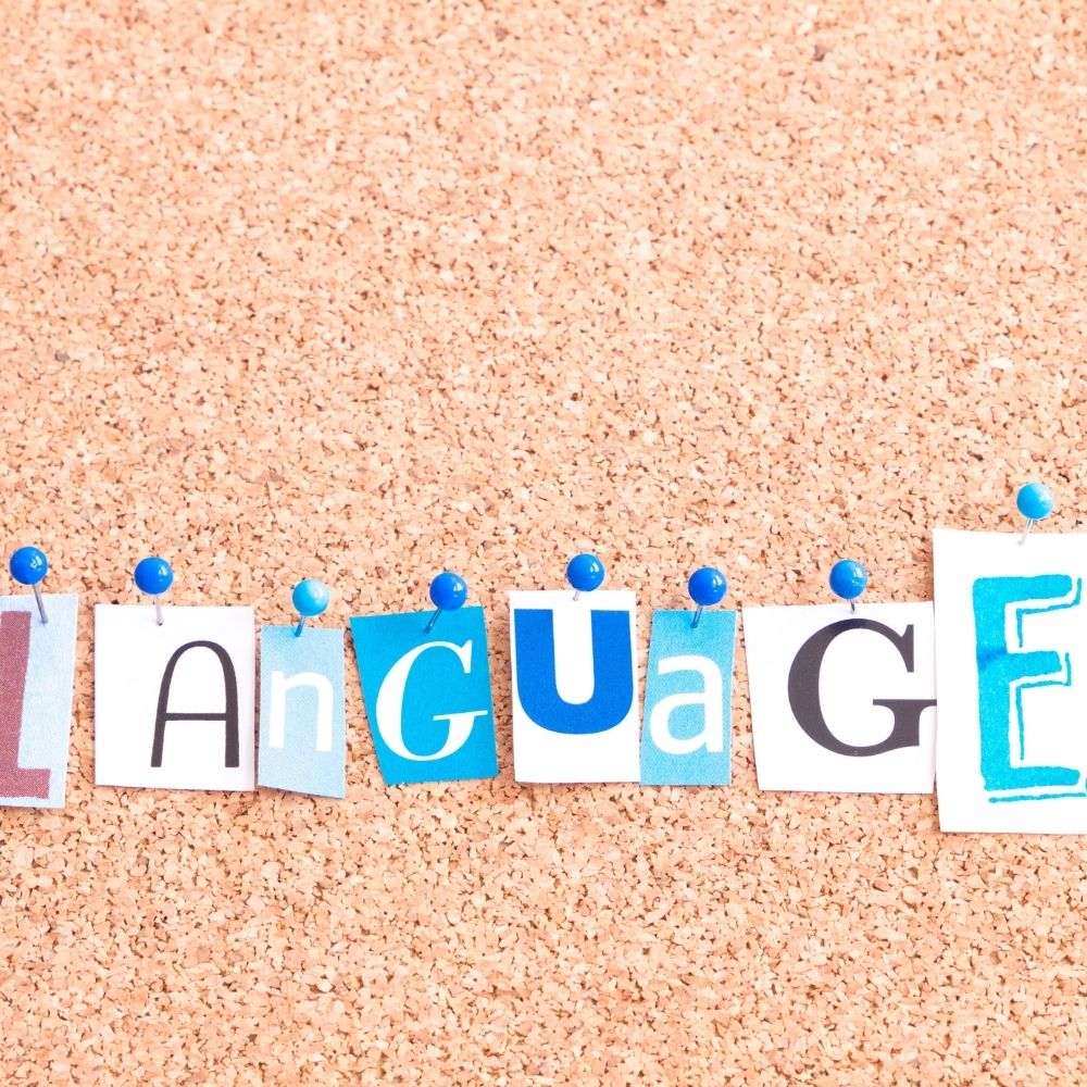 Langue 01 - Conseils de CV pour étudiants sans expérience 2026