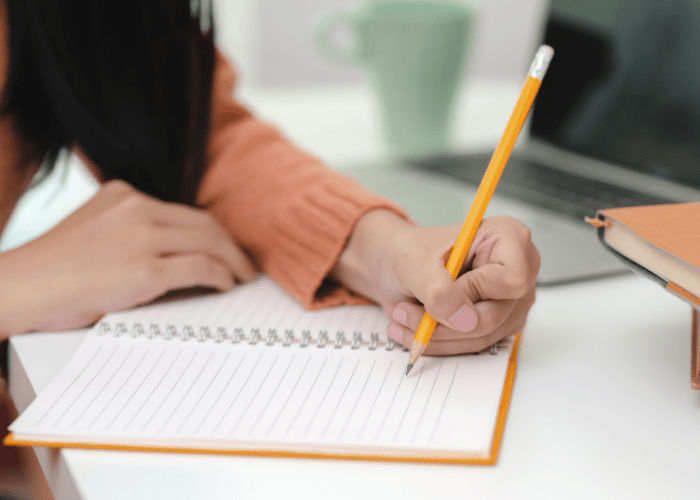 Exemple de CV étudiant