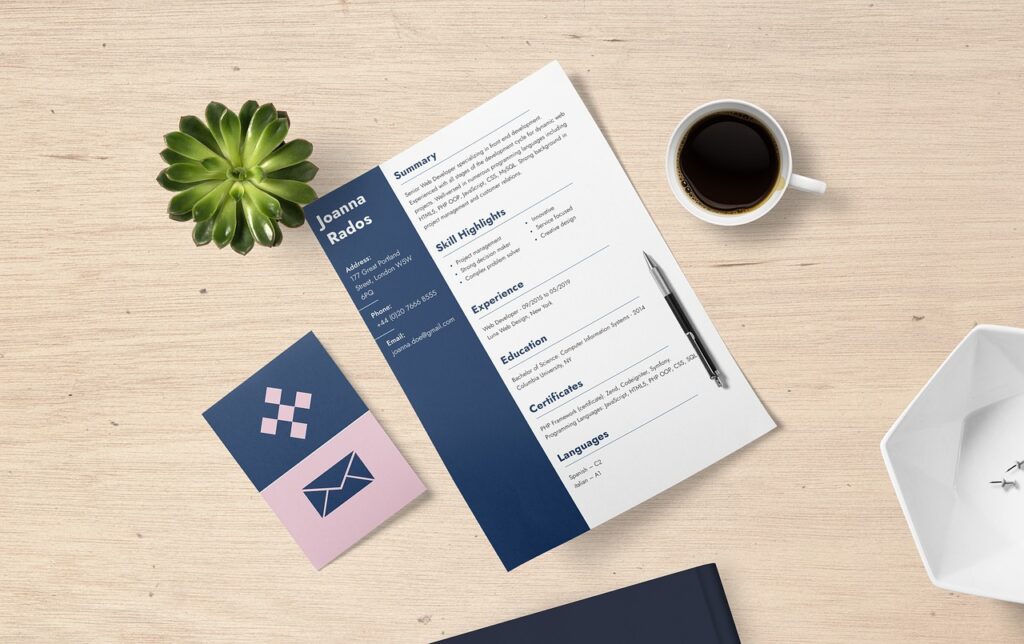 professional accounting resume