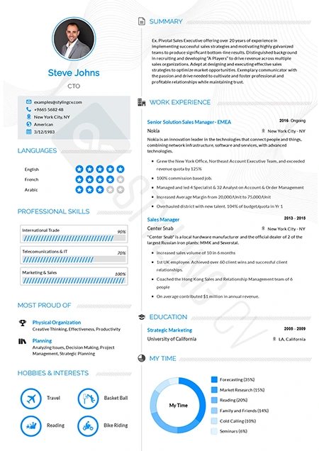 Concept — modern professional resume template preview | StylingCV