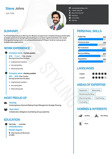 Professional resume template